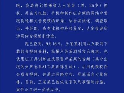 合肥警方揭曉案件真相：詳盡調(diào)查結(jié)果公布，事實(shí)勝于雄辯！