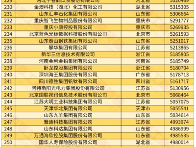 2024中國民營企業(yè)500強揭曉，哪些企業(yè)上榜了？