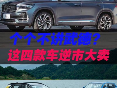 逆市熱銷！這四款燃油車，賽那奪MPV銷冠，星越L強勢霸榜？