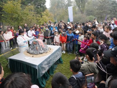 周末好去處！親手發(fā)射水火箭，國(guó)家植物園南園科學(xué)樂翻天