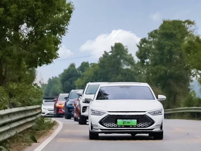 比亞迪賽力斯領跑，車企前三季度業(yè)績揭曉：利潤漲跌互現，市場格局生變？