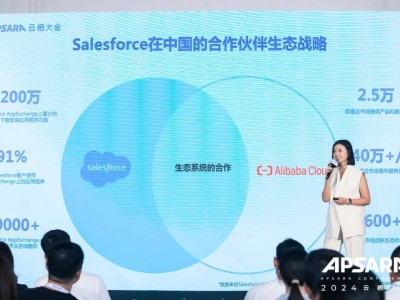 阿里云攜手Salesforce一年間：深耕本土市場(chǎng)，激發(fā)全新商業(yè)價(jià)值！