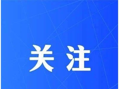 全國車主福利！11月4日起可申領(lǐng)電子行駛證，辦事出行更便捷