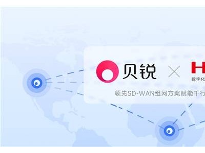 貝銳蒲公英與新華三合作，革新企業(yè)組網(wǎng)方案：高效穩(wěn)定、成本優(yōu)化