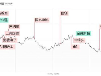 科創(chuàng)50指數(shù)大跌近4%失守千點(diǎn)，半導(dǎo)體金融板塊退潮，AI應(yīng)用逆勢(shì)崛起領(lǐng)漲市場(chǎng)