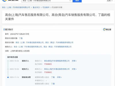 高合汽車丁磊遭限高消費，公司租賃合同糾紛強制執(zhí)行超77萬
