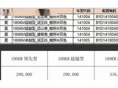 比亞迪夏MPV預(yù)扣提車價(jià)曝光，28萬起售，1月8日即將上市！