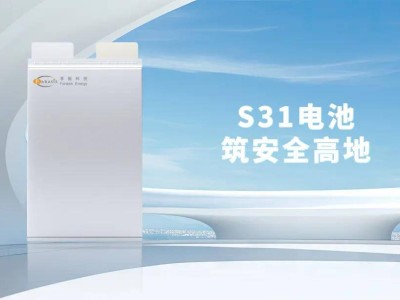 孚能科技S31電池：高安全性能獲贊，批量出貨助力多元應用