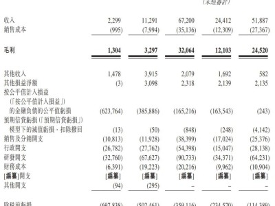 腦動(dòng)極光路演中：上半年虧損超億，港股上市倒計(jì)時(shí)