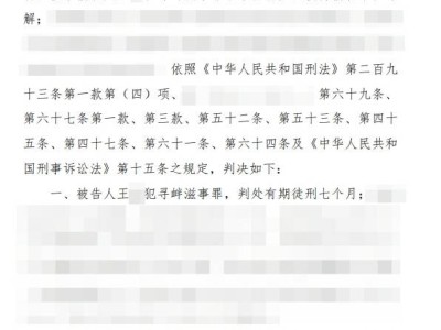 編造理想汽車謠言，男子被判刑七月：網(wǎng)絡(luò)不是法外之地