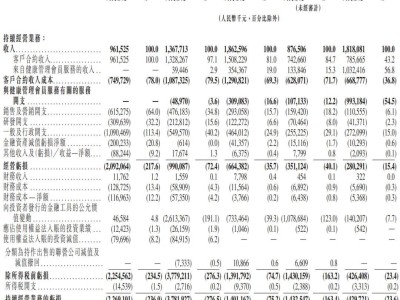 微醫(yī)再戰(zhàn)港股市場，上半年營收增長卻虧損，騰訊紅杉等巨頭持股