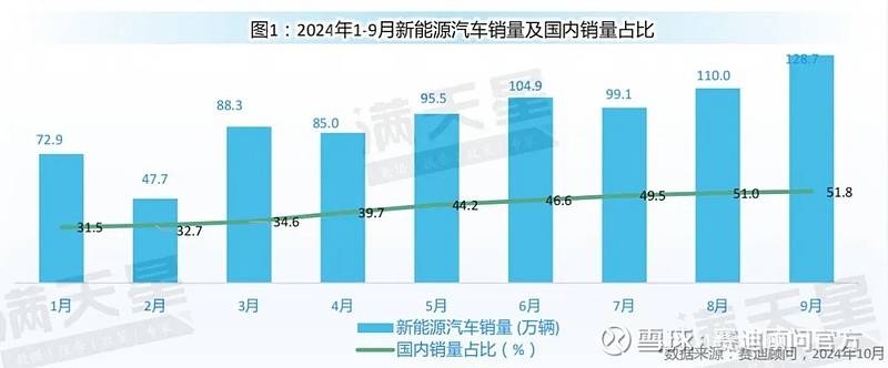 新能源汽車銷售數(shù)據(jù)圖