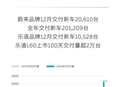 蔚來(lái)2024年純電銷量大增38%：技術(shù)創(chuàng)新與商業(yè)模式雙贏的奇跡？