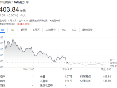 特斯拉年銷量首降，四季度創(chuàng)新高卻未達預期，股價早盤大跌