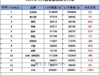 2024新能源車企成績單出爐，2025年誰將領(lǐng)跑銷量榜？