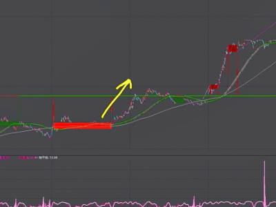 新能源龍頭股領(lǐng)跑市場，這些企業(yè)你不可不知！