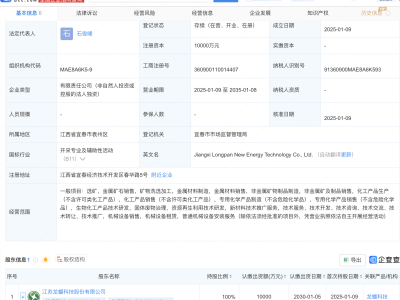 龍蟠科技1億元成立新能源科技公司