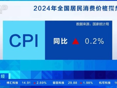 2024年CPI溫和上漲0.2%，2025年物價水平有望合理回歸？