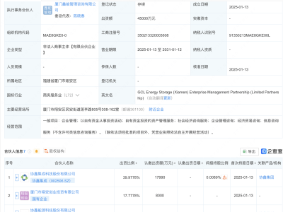 協(xié)鑫系企業(yè)攜手成立企管新公司，注冊資本高達4.5億