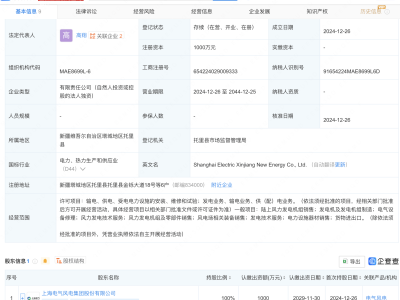 電氣風(fēng)電布局新疆，新能源公司正式成立！