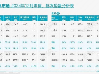 2025中國車市新風(fēng)向：以舊換新政策下，新能源與巨頭能否續(xù)寫輝煌？