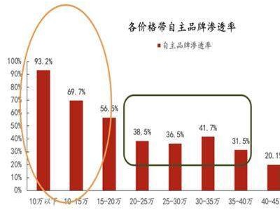 2025年智駕之戰(zhàn)：比亞迪、小米等國產(chǎn)品牌如何搶灘未來汽車市場？