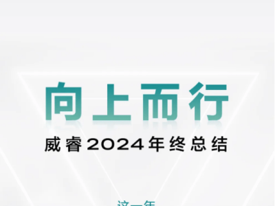 威睿2024年閃耀新能源舞臺(tái)，技術(shù)創(chuàng)新助力產(chǎn)業(yè)騰飛