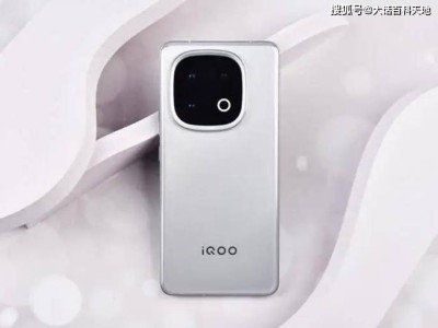 iQOO13手游神器：雙芯加持，流暢體驗(yàn)再升級！