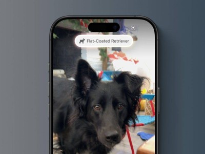 蘋(píng)果iOS 18.3為iPhone 16帶來(lái)視覺(jué)智能新體驗(yàn)：海報(bào)日期秒變?nèi)諝v，動(dòng)植物實(shí)時(shí)識(shí)別