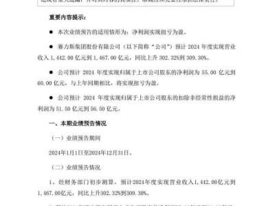 賽力斯2024年大翻身：?jiǎn)柦绯射N量擔(dān)當(dāng)，營(yíng)收凈利潤(rùn)雙增長(zhǎng)