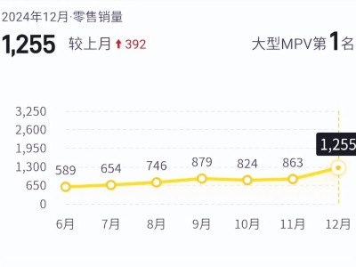 極氪009逆襲背后：理想MEGA為何難破局？