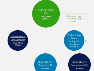 美國可再生能源龍頭NextEra能源，緣何布局天然氣與核能新賽道？
