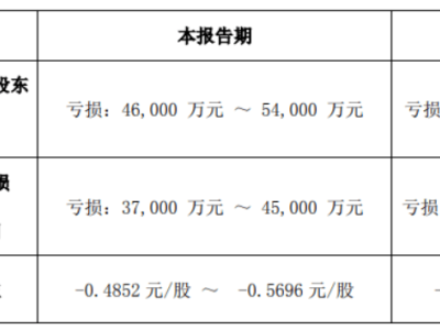 ST凱文游戲業(yè)務(wù)困局：2024年預計凈虧損4.6億至5.4億，何時能扭虧？