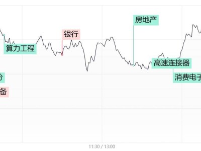 AI賽道分化，DeepSeek概念崛起，算力權(quán)重遭重挫百股跌停！