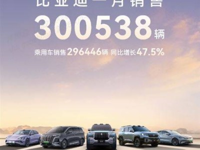 比亞迪1月狂銷(xiāo)30萬(wàn)輛，再奪中國(guó)品牌汽車(chē)市場(chǎng)銷(xiāo)冠！