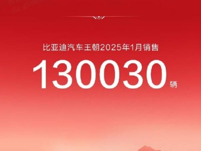 比亞迪2025年1月再奪冠，海外市場成新增長點(diǎn)！