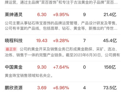 AI熱潮下DeepSeek概念股領(lǐng)跑，黃金、銅纜高速連接概念股齊漲