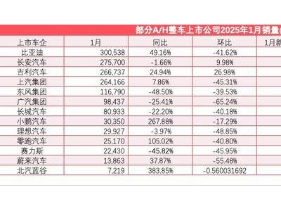 2025年車市首月成績單：半數(shù)上市車企同比增長，比亞迪吉利領(lǐng)跑