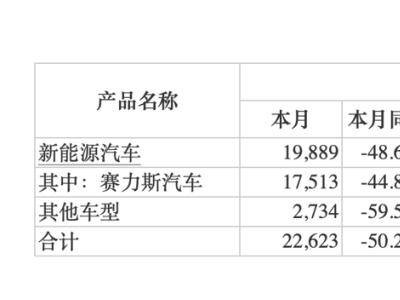 新能源車企銷量波動(dòng)大，行業(yè)“常勝將軍”何在？