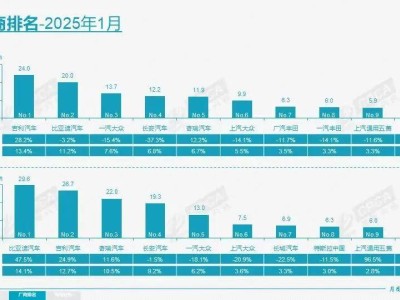 2025年誰主沉?。克募臆嚻笠颜贾袊?guó)車市半壁江山