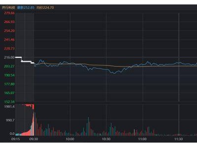 北證“牛股”并行科技振幅超40%，高波動股盤點(diǎn)，哪些方向成焦點(diǎn)？